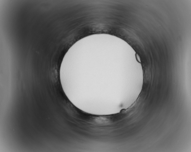 X0000096390183200802211150