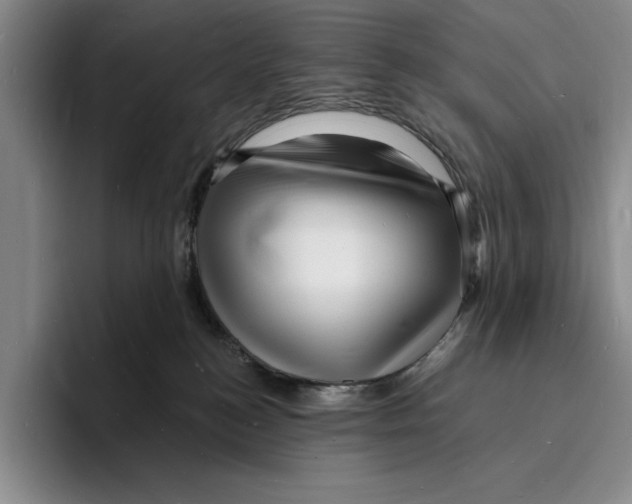 X0000096390184200802211150