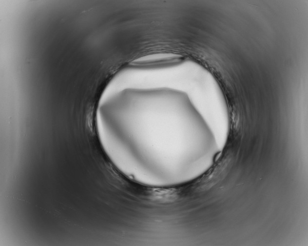 X0000096390185200802211150