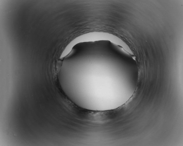 X0000096390186200802211150