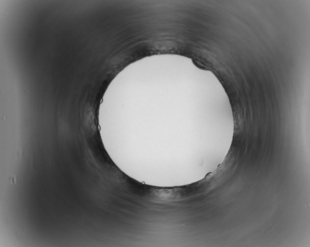 X0000096390187200802211150