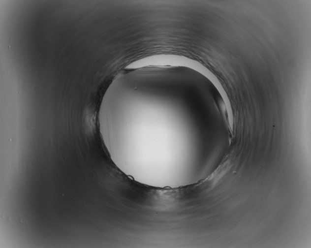 X0000096390188200802211150