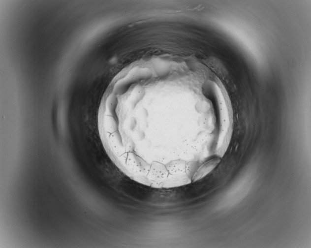 X0000096390189200802211150