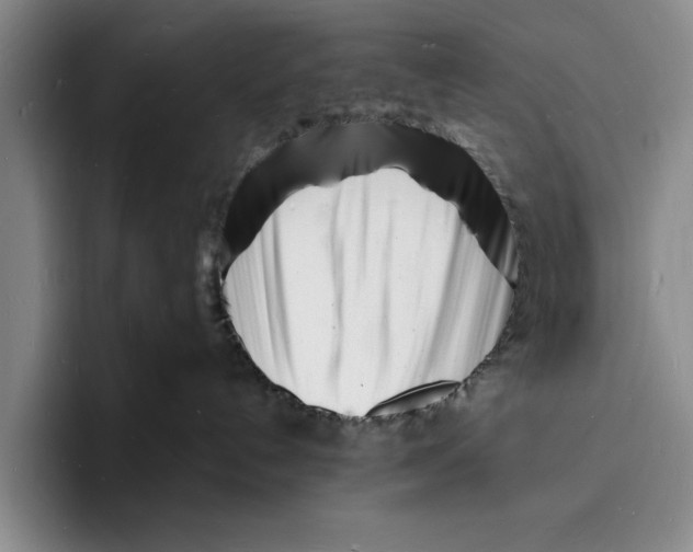 X0000096390192200802211150