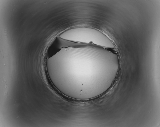 X0000096390193200802211149