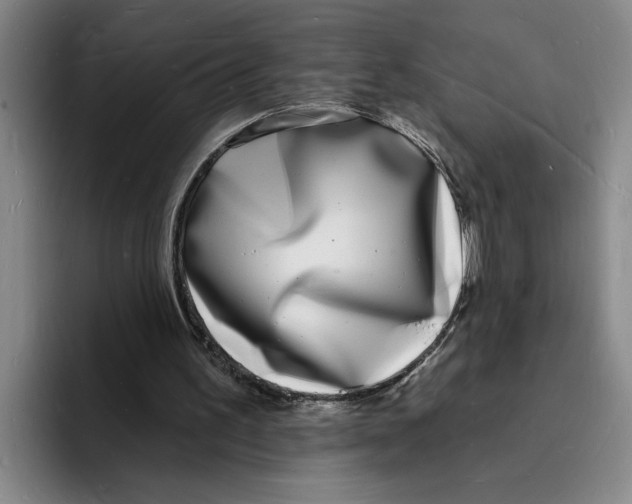 X0000096390195200802211149