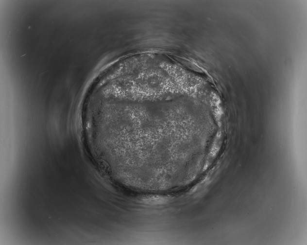 X0000096390198200802211149
