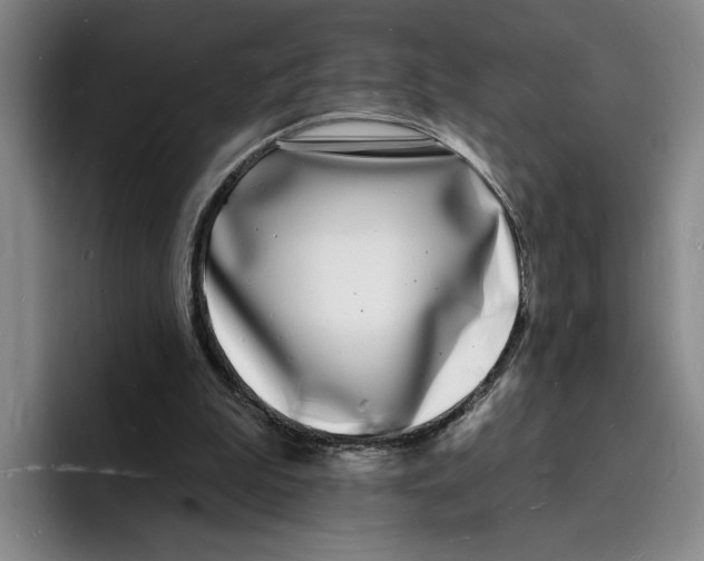 X0000096390199200802211149