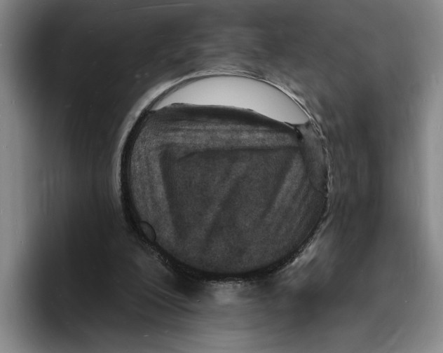 X0000096390200200802211149