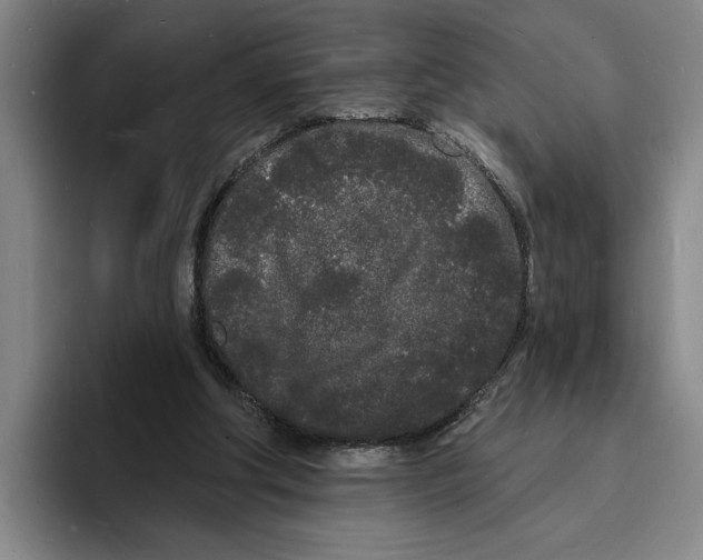 X0000096390202200802211149