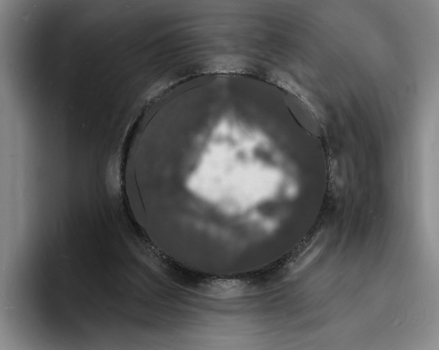 X0000096390203200802211149