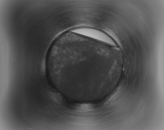 X0000096390204200802211149