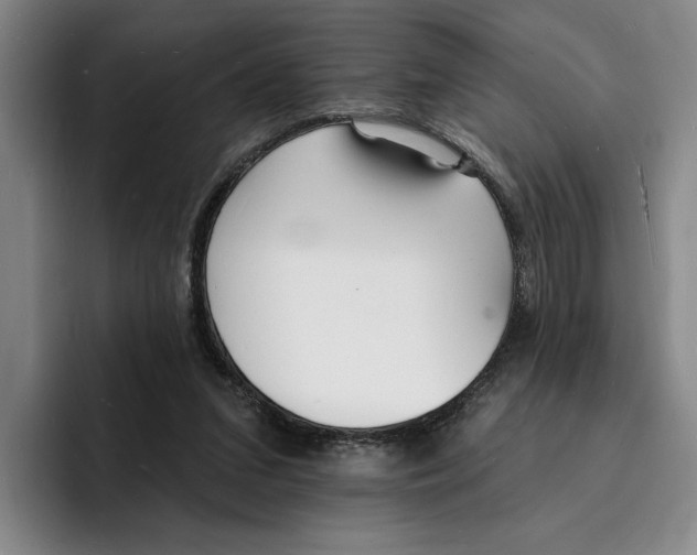 X0000096390207200802211149