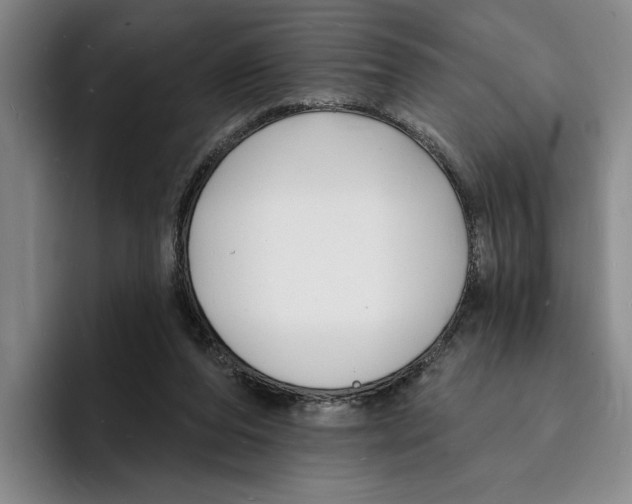 X0000096390208200802211149