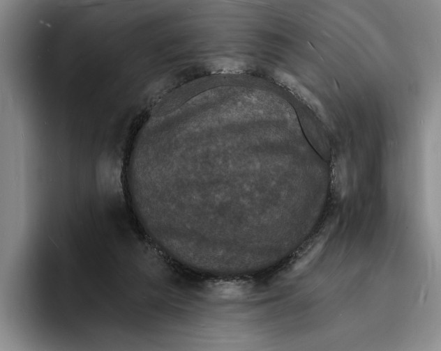 X0000096390209200802211149