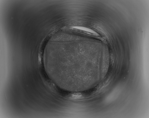 X0000096390214200802211149