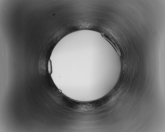 X0000096390215200802211149