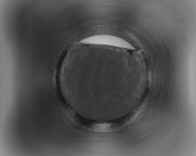 X0000096390217200802211149