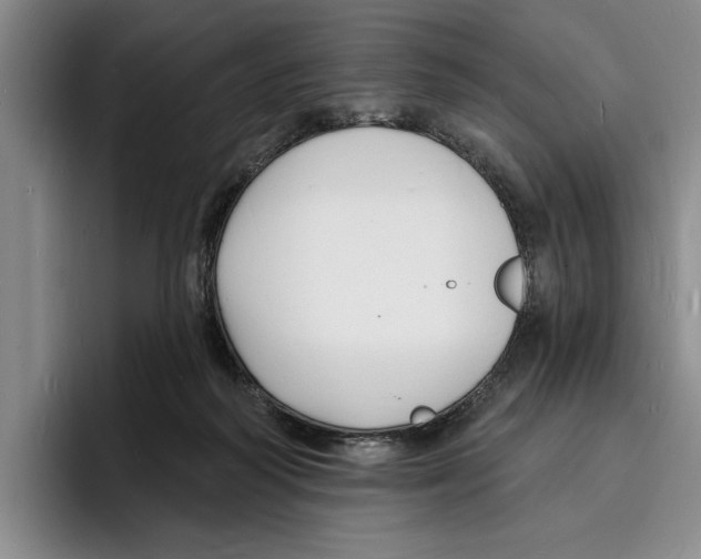 X0000096390218200802211149