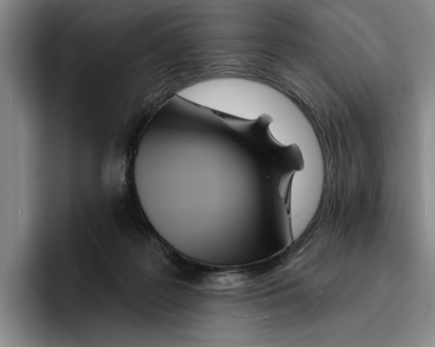 X0000096390219200802211149