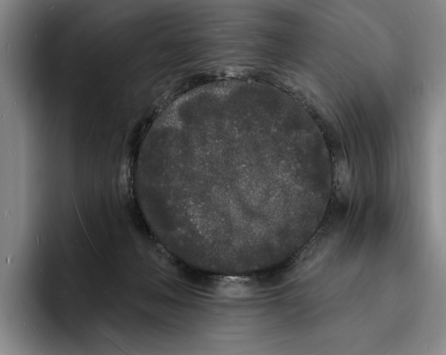 X0000096390222200802211149