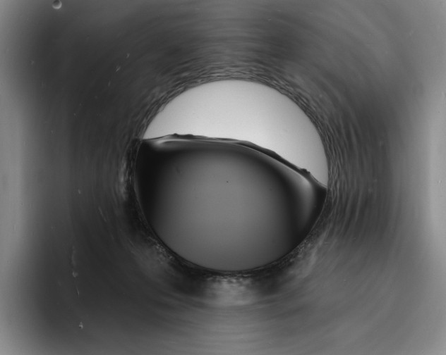 X0000096390223200802211149