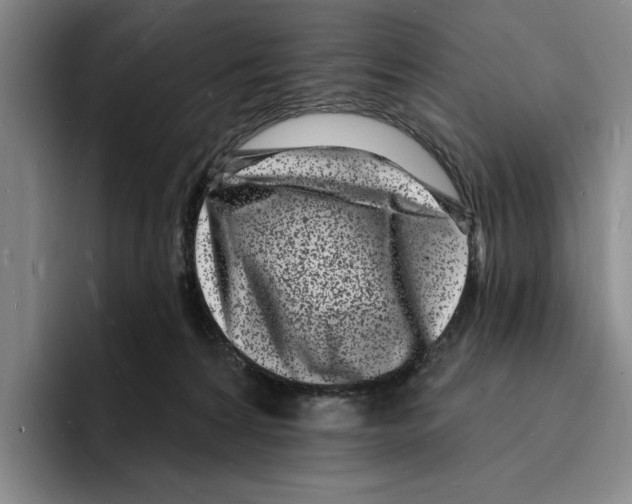 X0000096390224200802211149