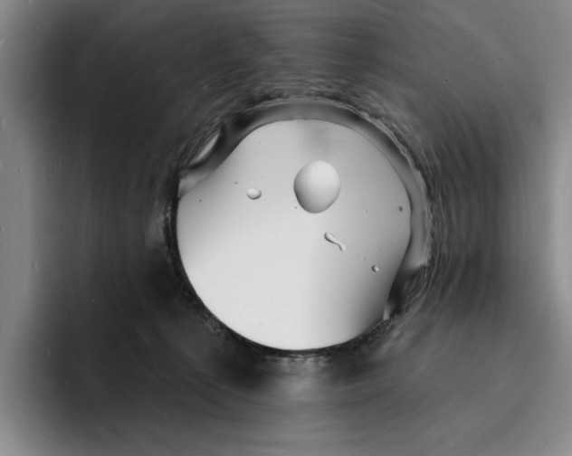 X0000096390225200802211149