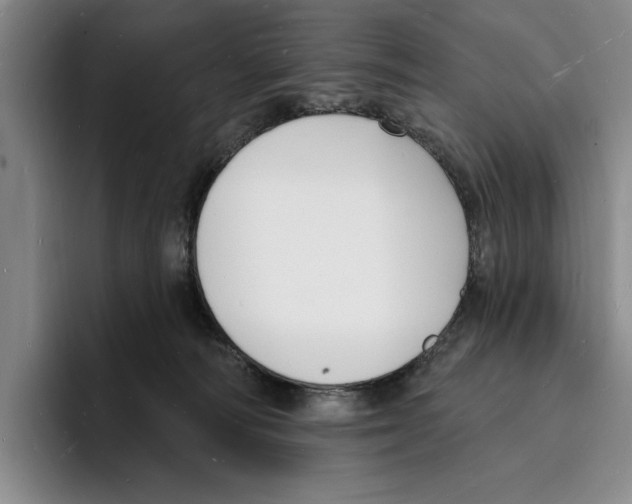 X0000096390226200802211149