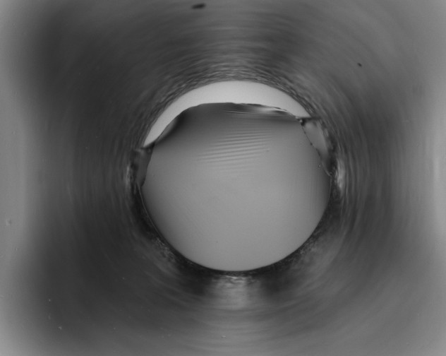 X0000096390227200802211149