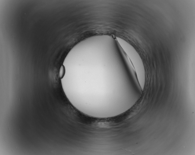 X0000096390228200802211149