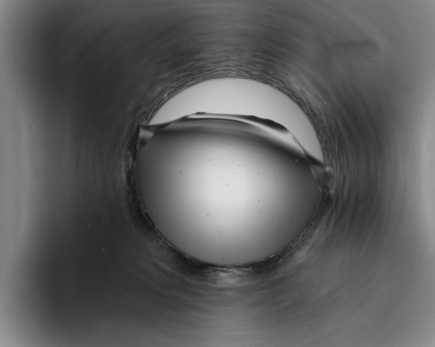 X0000096390229200802211149