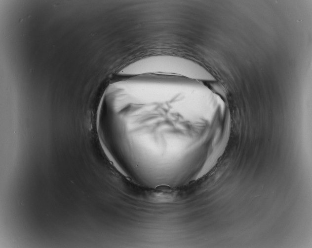 X0000096390232200802211149