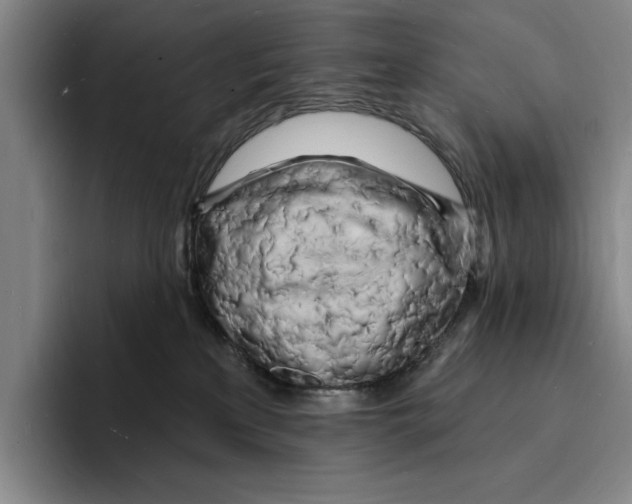 X0000096390233200802211149