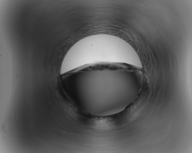 X0000096390235200802211149