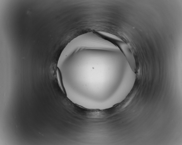 X0000096390237200802211149