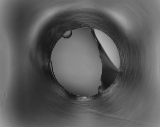 X0000096390239200802211149