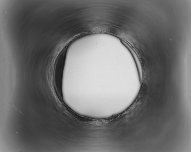 X0000096390241200802211148