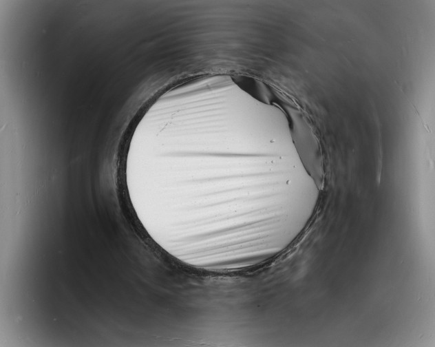 X0000096390242200802211148