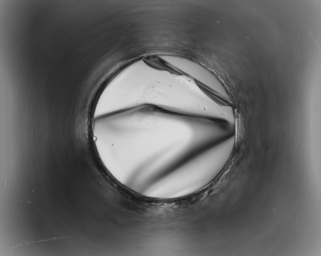X0000096390243200802211148