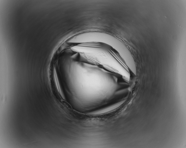 X0000096390244200802211148