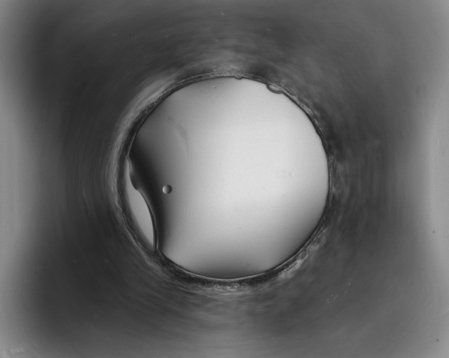 X0000096390245200802211148