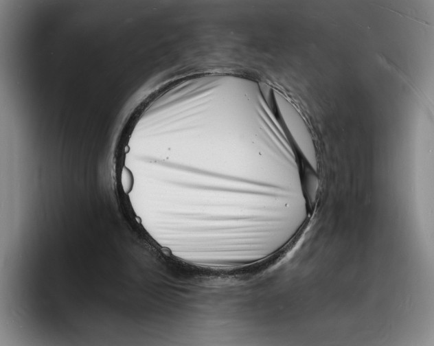 X0000096390246200802211148
