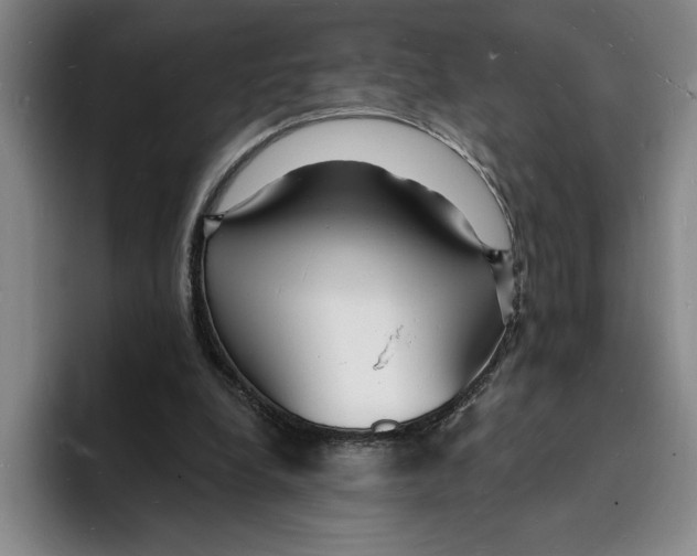 X0000096390248200802211148