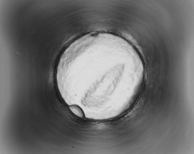 X0000096390249200802211148