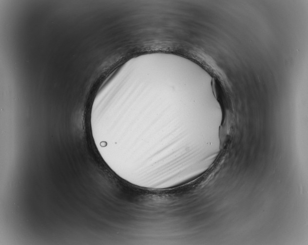 X0000096390250200802211148