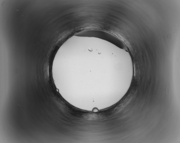 X0000096390253200802211148