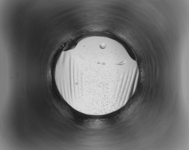 X0000096390254200802211148