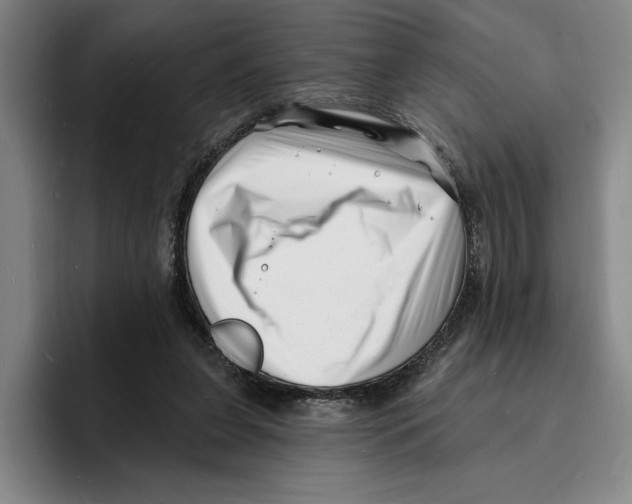 X0000096390255200802211148