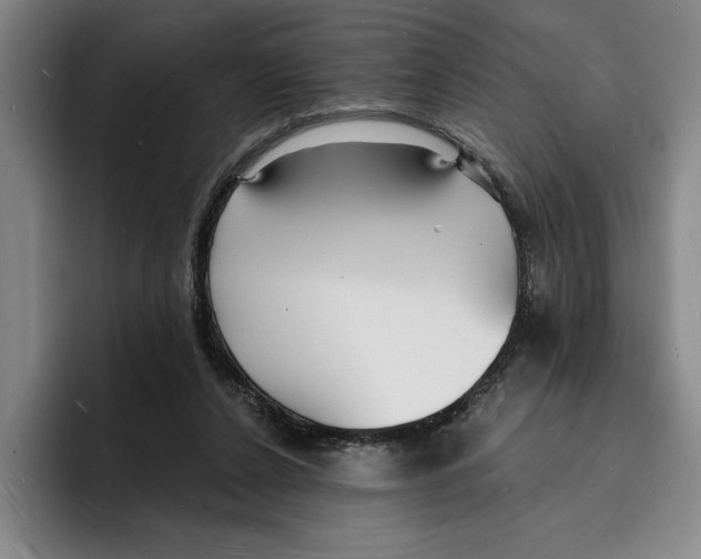 X0000096390256200802211148